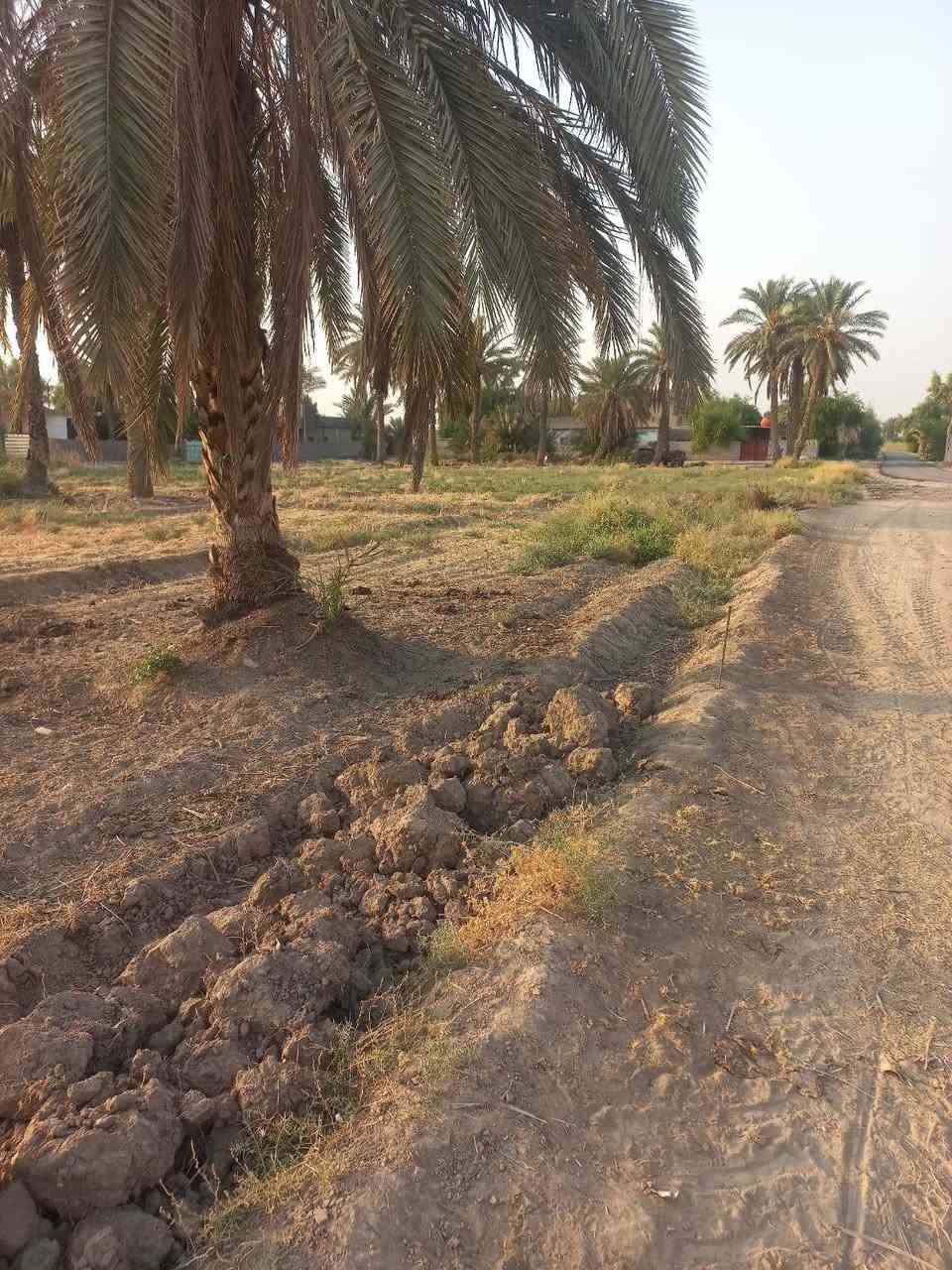 السلام عليكم ارض زراعية للبيع في شيشبار اللطيفية مقاطعة 32 جنابيين خلف مدرسة اغادير الابتدائية المختلطة خلف مدرسة الانصار المتوسطة للبنات 7حصص كل حصة دونم و 2300متر البيع حسب الطلب للاستفسار الاتصال على الرقم  *********** واتساب
غير متواجد على الفيسبوك
السلام عليكم ارض زراعية للبيع في شيشبار اللطيفية مقاطعة 32 جنابيين خلف مدرسة اغادير الابتدائية المختلطة خلف مدرسة الانصار المتوسطة للبنات 7حصص كل حصة دونم و 2300متر البيع حسب الطلب للاستفسار الاتصال على الرقم  *********** واتساب
