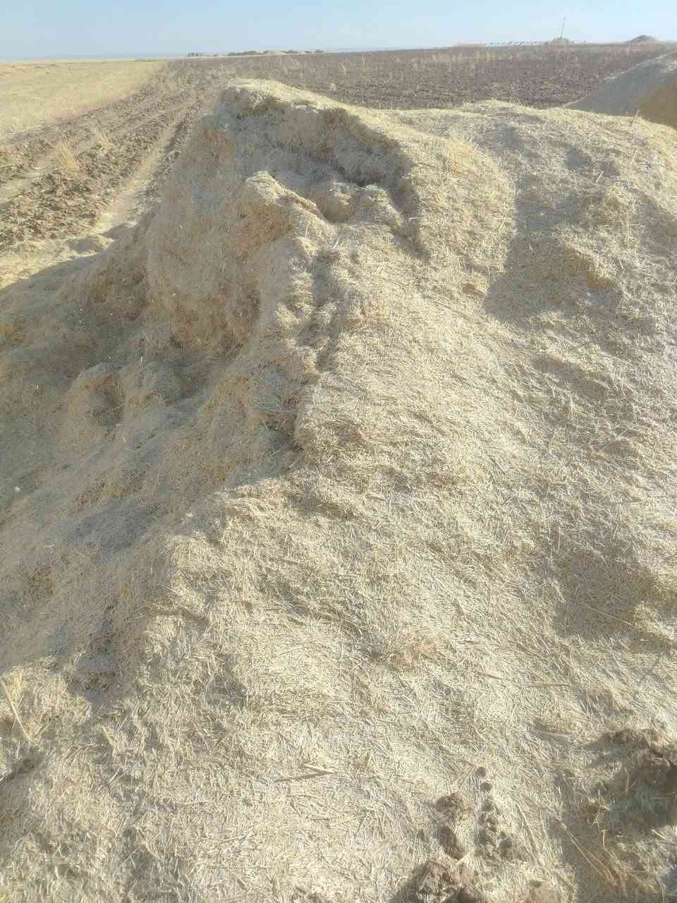 يوجد تبن للبيع جديد مال حنطة أبيض وناعم حجم الكيس ٥٥ الزوج ١٧٥٠ وحجم الكيس ٦٠ الزوج ٢٧٥٠ واصل جميع مناطق الجدعه ومناطق الشرقاط لاتصال على الرقم *********** شرط الدكاك مال ديم ***********
