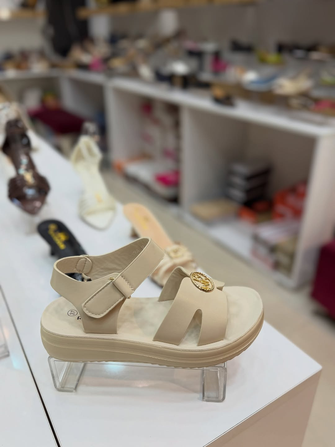 ▫️قياسات  37 38 39 40
▫️الوان صندل: 3الوان 
————————————————-
🔻للحجز والاستفسار  يرجى المراسلة او اتصال ع واتساب 🔻0770935118 ☎️. 

 ☎️***********🔺
📍العنوان : كركوك - شارع المحافظة - غازي مول - طابق الارضي
