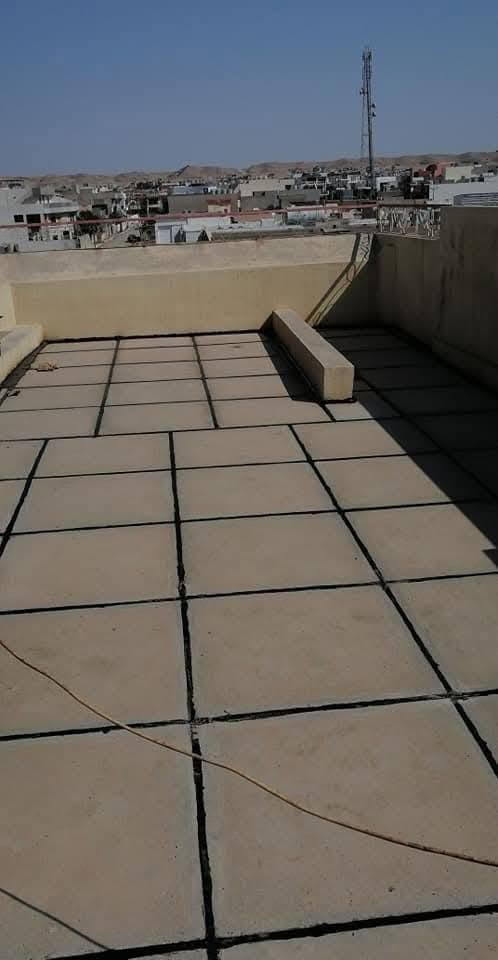 اسطى • ماستيك • وايزوگام