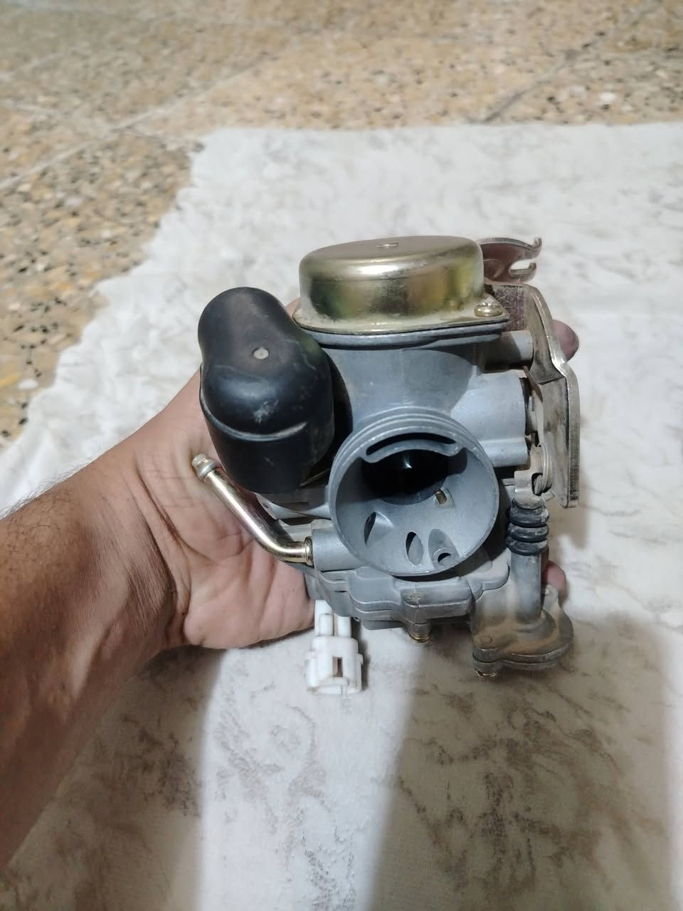 سلام عليك كابريترات 140 عام
1 عدي كابريتر ثعلب جيتي ار او جيتي ار
2 كابريتر سكنس من شركه TMMP
3 كابريتر سكنس تجاري
المكان بغداد مدينه صدر رقم ***********

