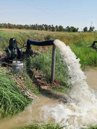 ماطور أبو العشرة • نوعية اوبكار • الدغاره