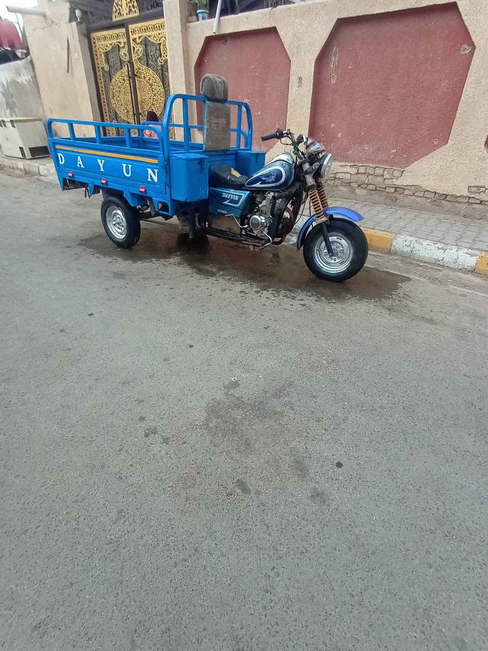 ستوته • ٢٠١٥ • شاصي مكفول