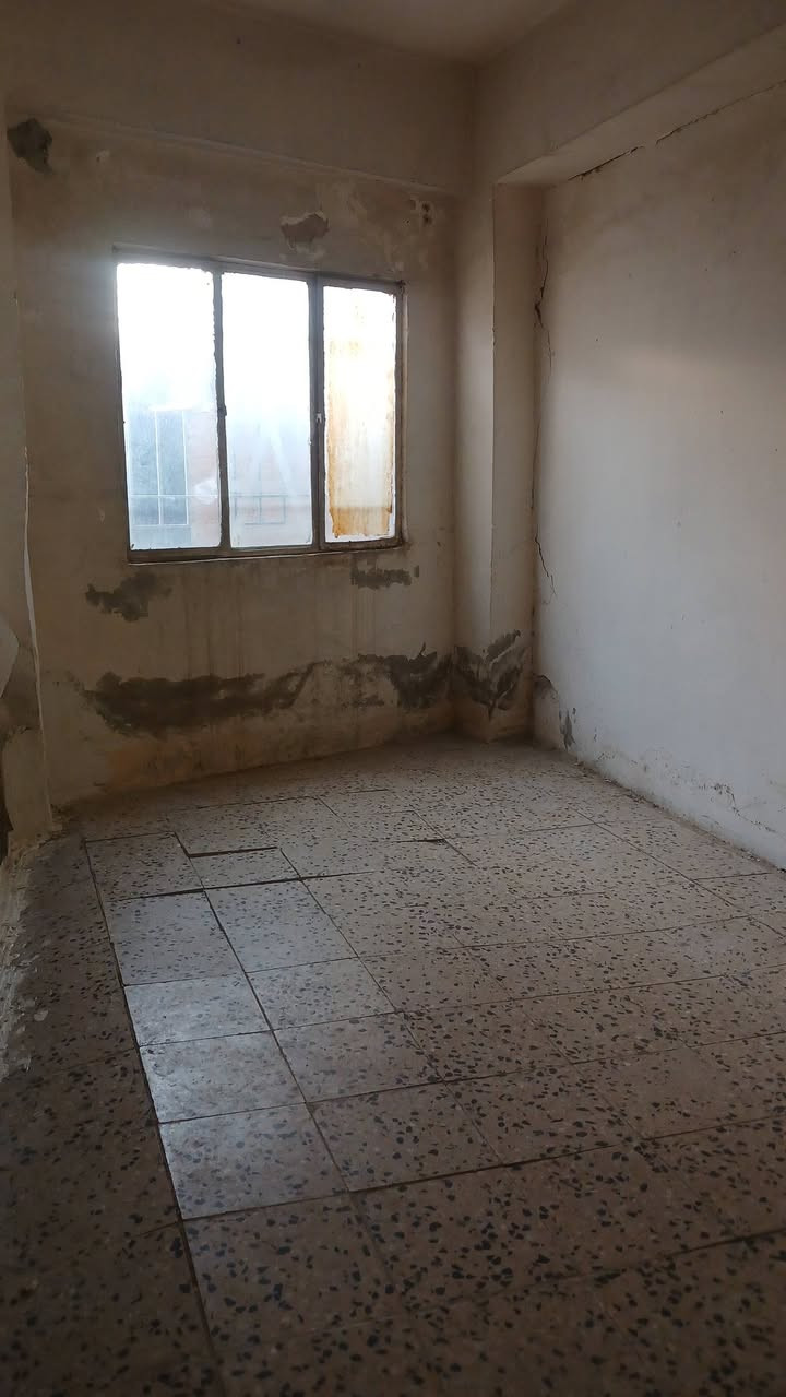 السلام عليكم شقه للايجار في حي العامل الأولى شارع ٣٠ قرب حسينية  المهدي  او الكفيل
الشقة تحتوي على غرفتين وهول مطبخ وحمام نظيفه 

اي استفسار اتصل على الأرقام الموجوده 

***********

***********
