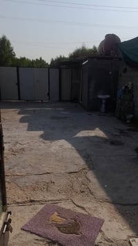 بيت تشجير موقع كفاأت السيديه خلف مقر سرايه السلام  مساحه ١٥٠متر  غرفتي...
