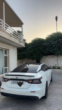 ماكسيما • ٢٠٢٣ • بانوراما جلد