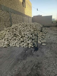 طابوك • شرط • المگلاب