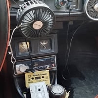 برازيلي • ١٩٨٥ • نمر دولي