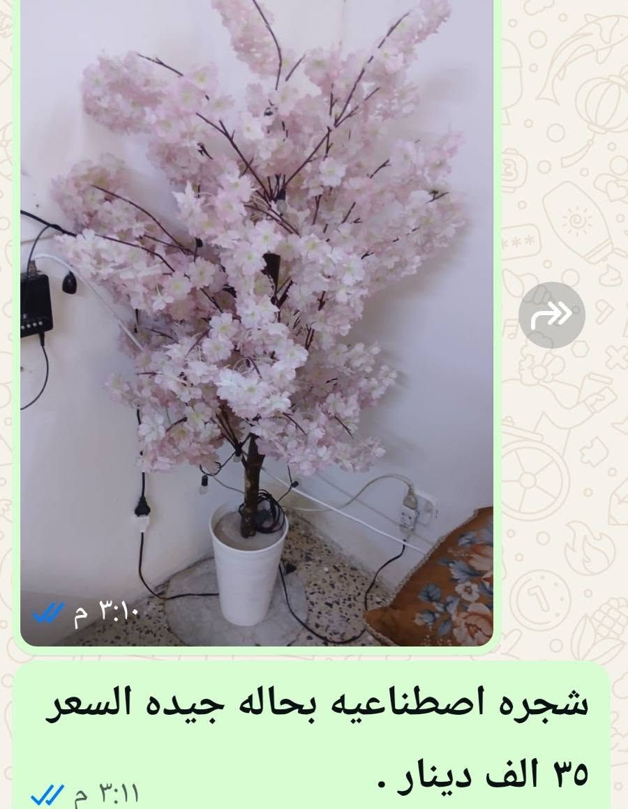 بسم الله الرحمن الرحيم 
السلام عليكم لدي ماكنة ثرم لحم  ومغسله وشجرة زينه وللحاجه الماسه اضطريت ابيعها كل واحده وسعرها وبيه مجال بسيط للمشتري ان شاء الله للاستفسار الاتصال على الرقم *********** بيه وات ساب .

نص مكتوب في الصور:
- ٣:١٣ م مكينة ثرم بحاله جيده وشغاله السعر ٣٥ الف دينار . ٣:١٥ م
- مغسله نضيفه وبحاله جيده السعر ٨٥ الف دينار
- شجره اصطناعيه بحاله جيده السعر ٣٥ الف دينار .