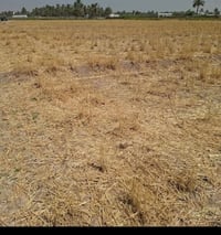 مشروع الغراويه • ٥ دوانم • سند ٢٥