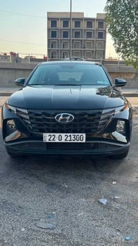 توسان ٢٠٢٤ • وارد امريكي • صبغ بسيط