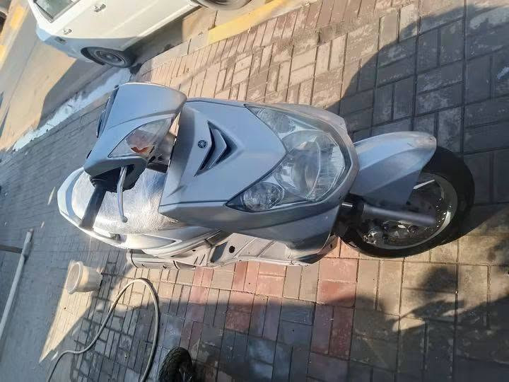 سكنز فحل ياباني دراجه مشروطه تجي تفحص بيدك 
سعرهه 700 وبيهه مجال مكاني سماوه تقاطع القشله 
***********
