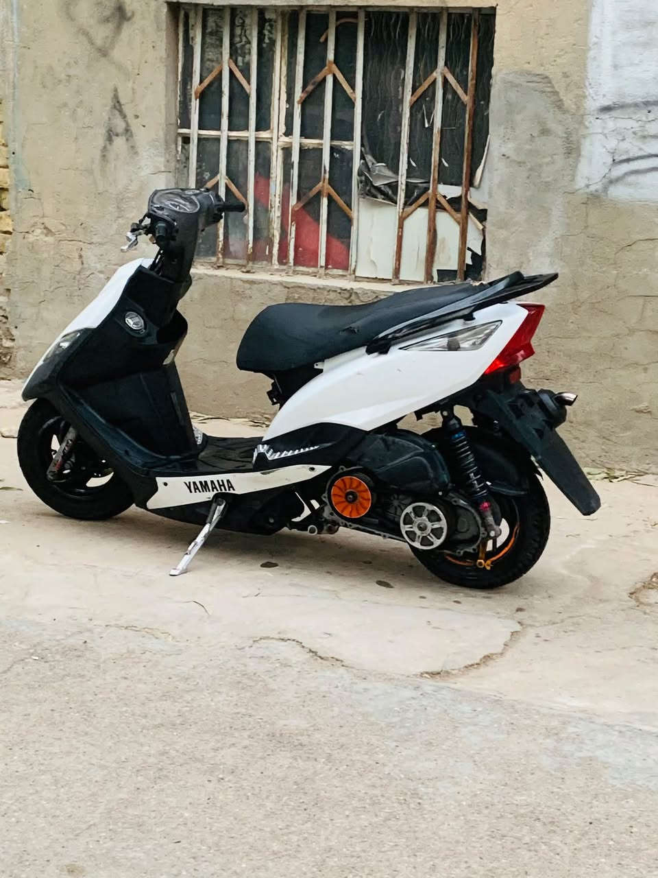 ثعلب • مزوده • بوشه 58