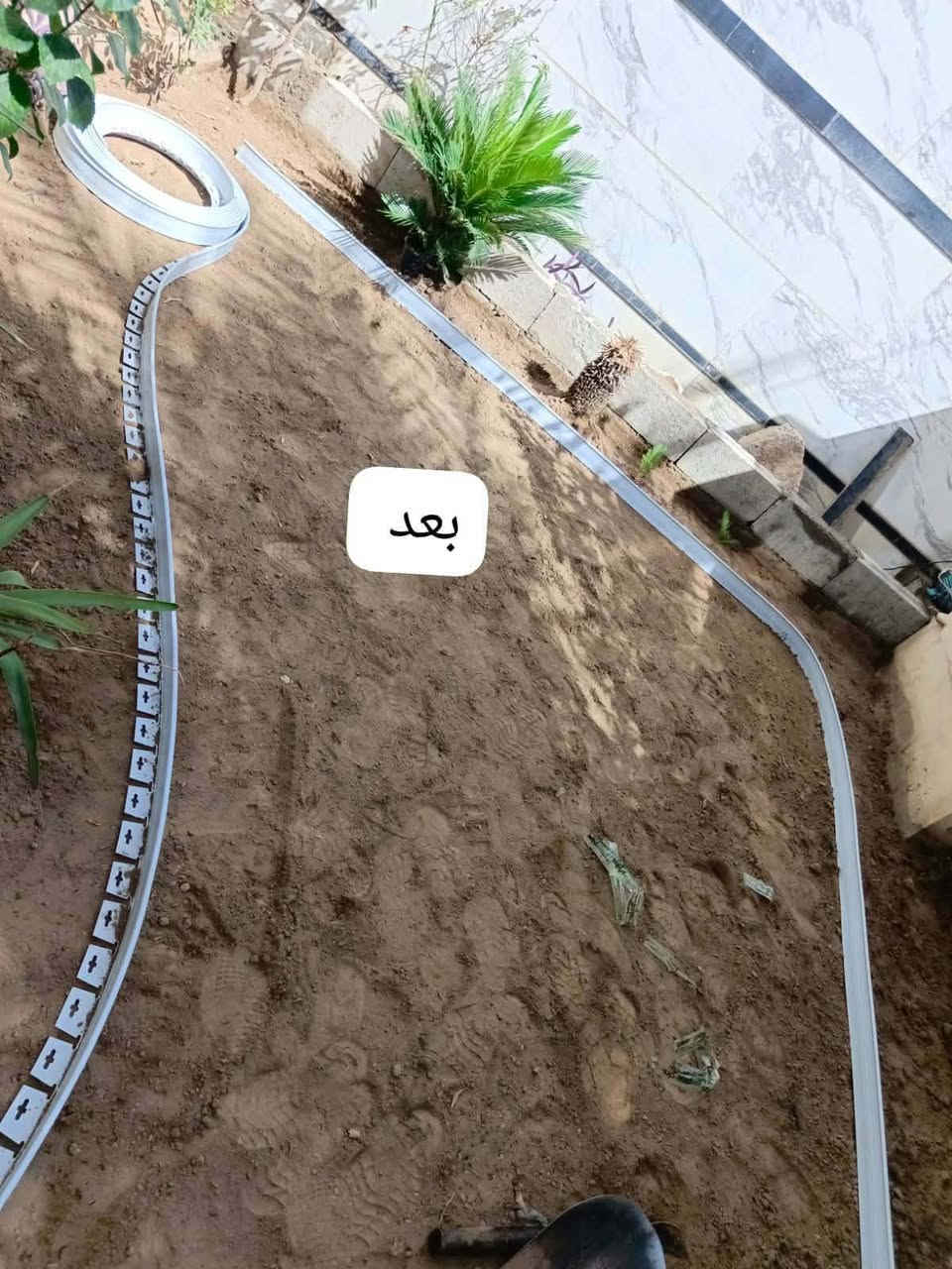 #تنضيف ال اشجار 
#العنوان الموصل 
لي حاب يشتغل له يتصل علا رقم موجود بالصوره 
@إشارة

نص مكتوب في الصور:
- ابو علي حرفي حدائق نقدم لكم خدمات متكاملة للعناية بالحدائق وتنسيقها إدامة وترتيب الحدائق تقليم وتشكيل الأشجار والاسيجة النباتية تسميد ومكافحة الآفات الزراعية تطعيم الشتلات والأشجار زراعة الأشجار والنباتات قص وتنسيق الثيل والمسطحات الخضراء للتواصل والاستفسار: *********** - *********** Qussai_Gardens
- بعد ***********
- بعد
- قبل
- ***********
- ***********