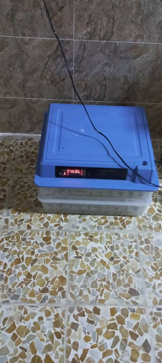 مفقس بيض • ١٢٠ بيضة • دواجن