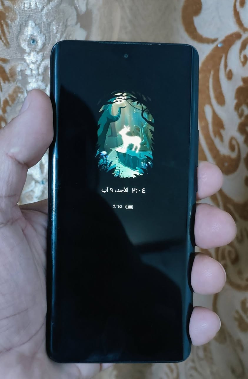 HONOR X9 b 5G
هونور X9 b 5G
ذاكرة 256  
عشوائية 12+ 8 وخاصية Ram Turbo
الجهاز شخط مابيه مكفول كفالة عامة من التصليح 
السعر 285 بيه مجال بسيط جدا..
مستعجل على بيعته.
مكاني بغداد.. ماعندي توصيل
***********
