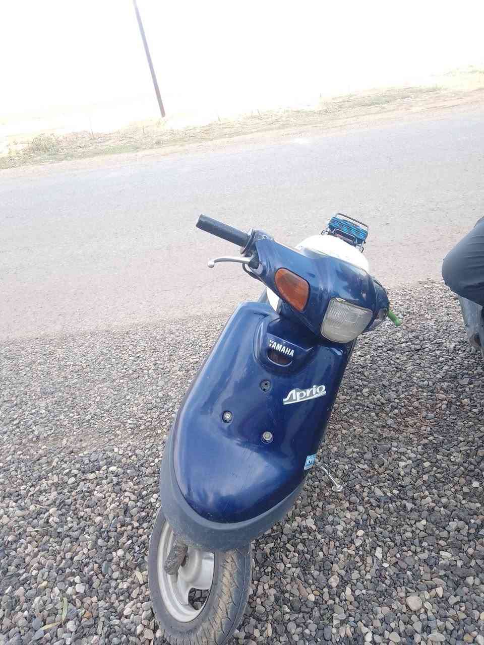 بوتين • معمره • وايرمنيه