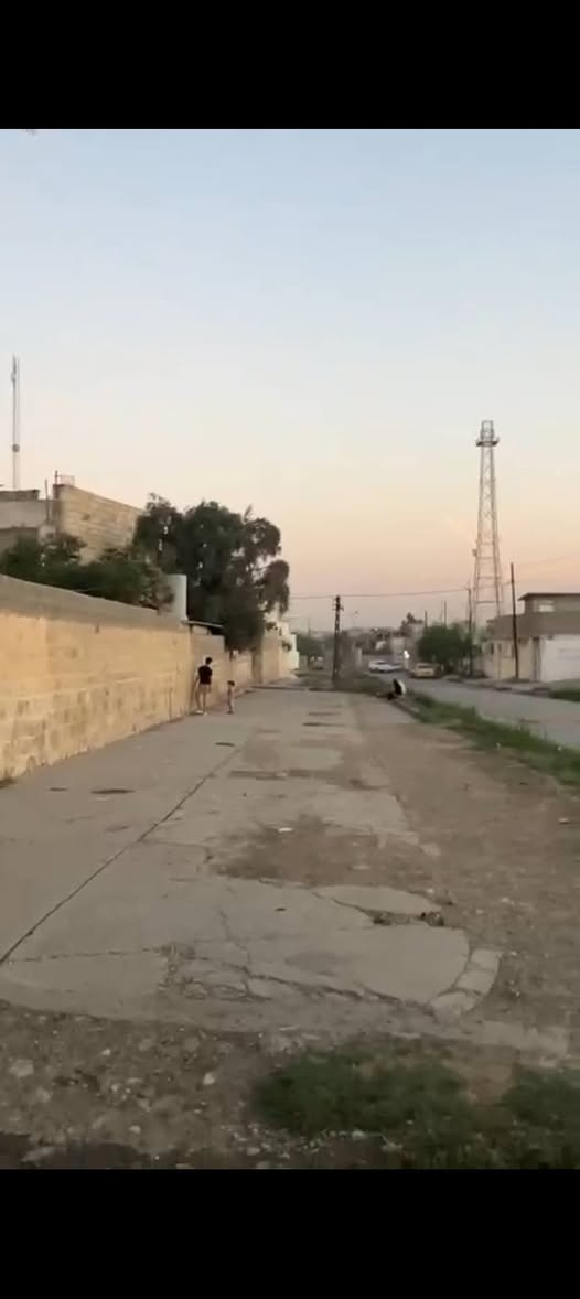 المنصور الفورمنيه • ركن • ٢٣٠م