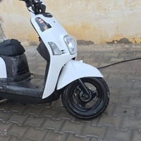ماكس بوليسي • نوزل • كفاله عامه