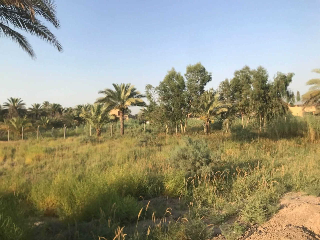 السلام عليكم توجد قطعة ارض للبيع تحويل بسم المشتري المساحه الكليه 1800 متر  الموقع السياحي تبعد عن شارع الرئيسي 75 متر عرض الطريق 5 متر صافي ترهم تجاريه مخزن وماشابه ذالك وتهرهم سكن الموقع السياحي منطقة فنهرة 
للاستفسار اكثر الاتصال ع الارقام التاليه 
***********
***********
