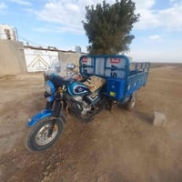 ستوته • ٢٠١٩ • اوراق اصولي