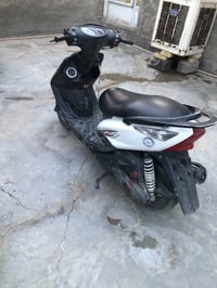 ثعلب • جديد • شعلة