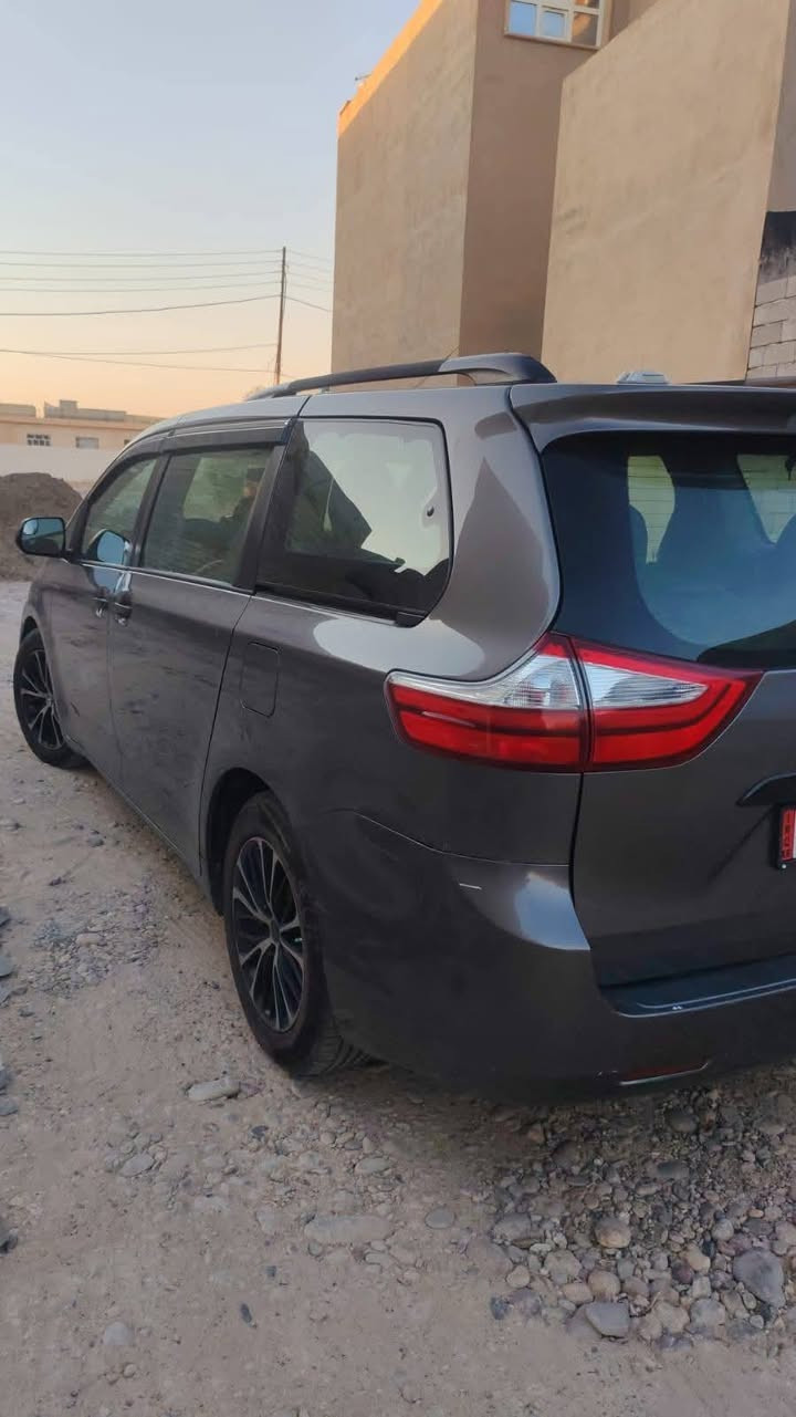 سينا • ٢٠١٧ • رقم سليمانية