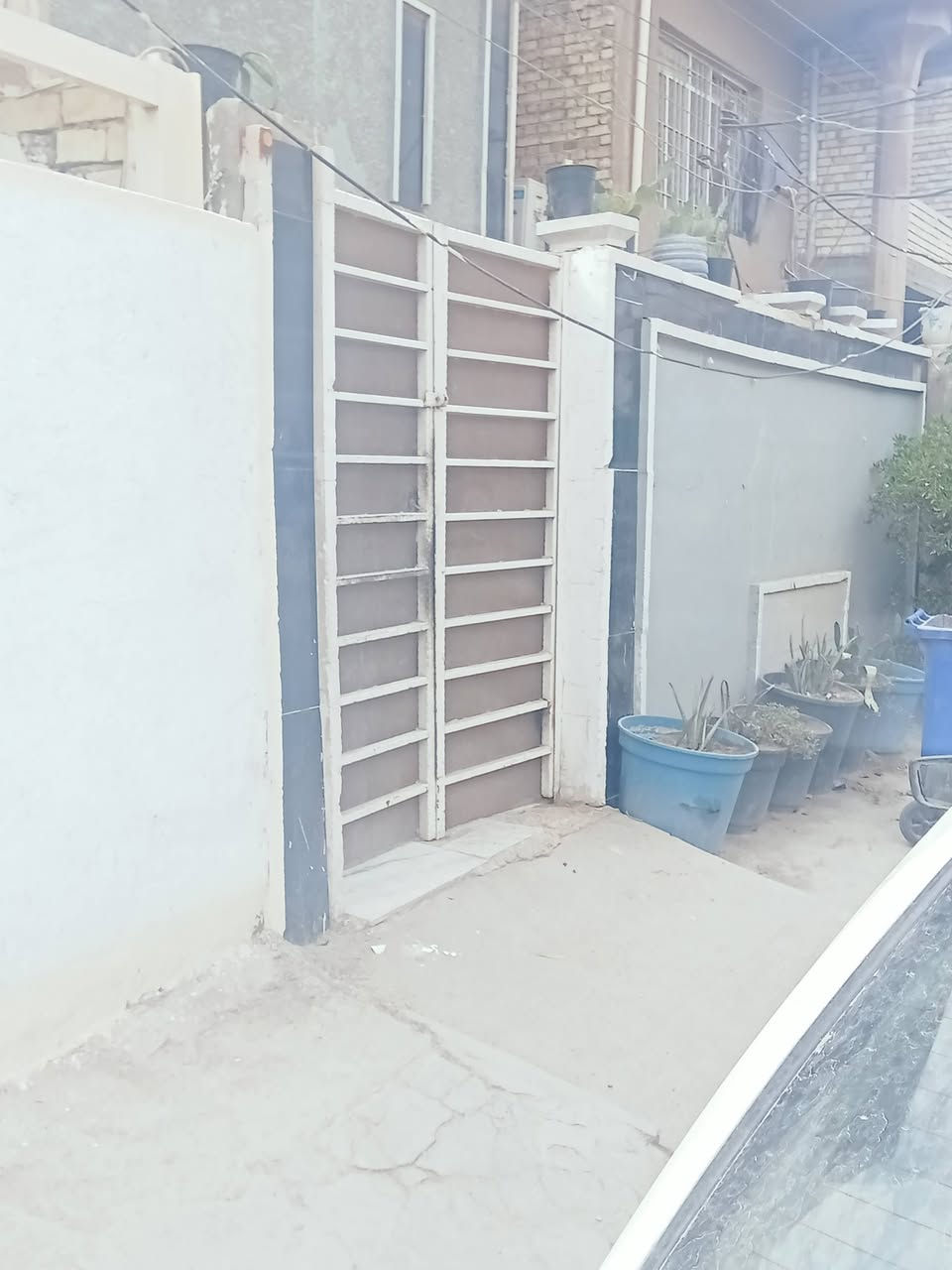 شعب ديوان • ١٥٠م • طابو