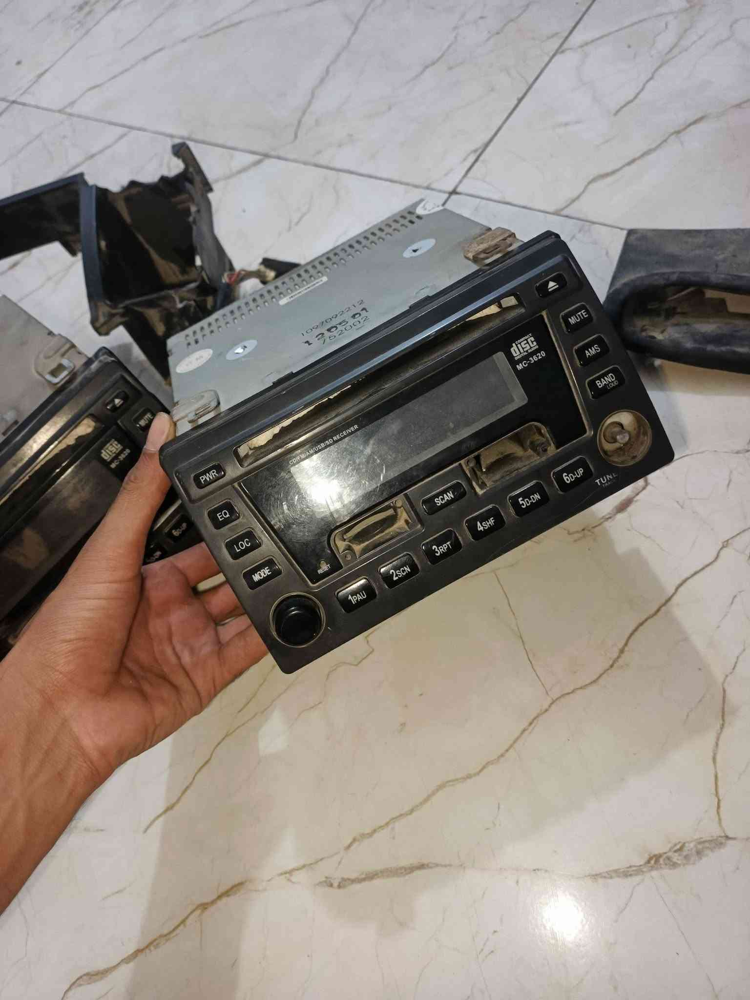 غراب • جيلي نوبل • الديوانيه