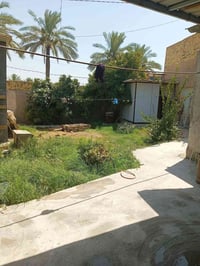 طابو زراعي • ٢٨٠م • سند ٢٥