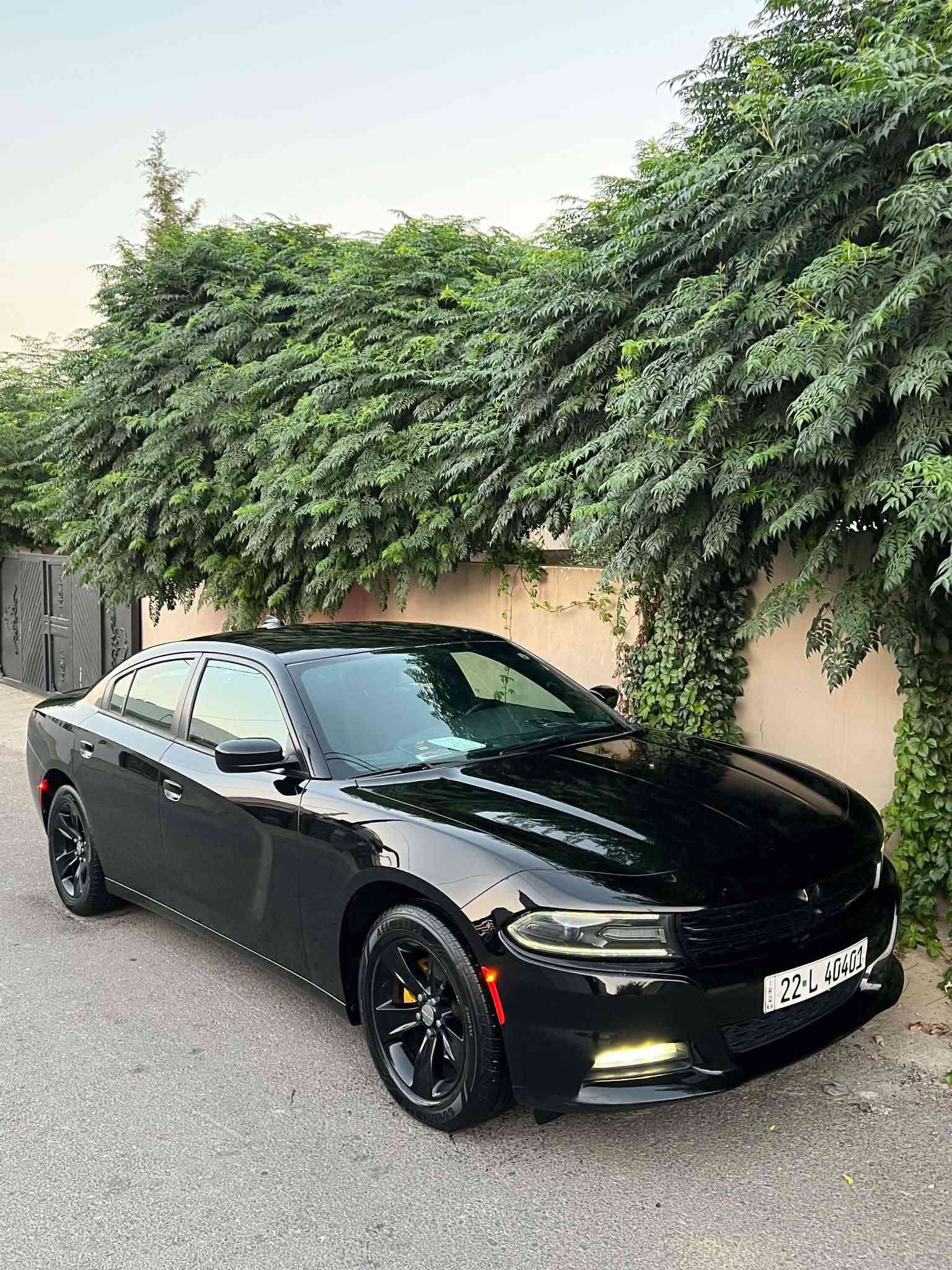 Dodge charger 2017  SXT
دوج چارجر ٢٠١٧ کلین تایتل
مواسەفات sxt
شاشەگەورە
بەصمە
شەخال
دەرگا بەصمە
کوشن کارەبا
حاسە
کامیرا
گێڕو مە کینەی بەشەرت نەکراوەتەوە
بێ بۆیاخو بێ ساردو بێ پارچە گۆڕانە تەنانەت دەعمیەکانیشی بە شەرت بۆیاخی نیە
هەموو گیانی بە شەرت
لە سەر دەقی شەریکە ماوە
دەعمی بۆ دەعمی بە شەرت
شوین سلیمانی 
***********
