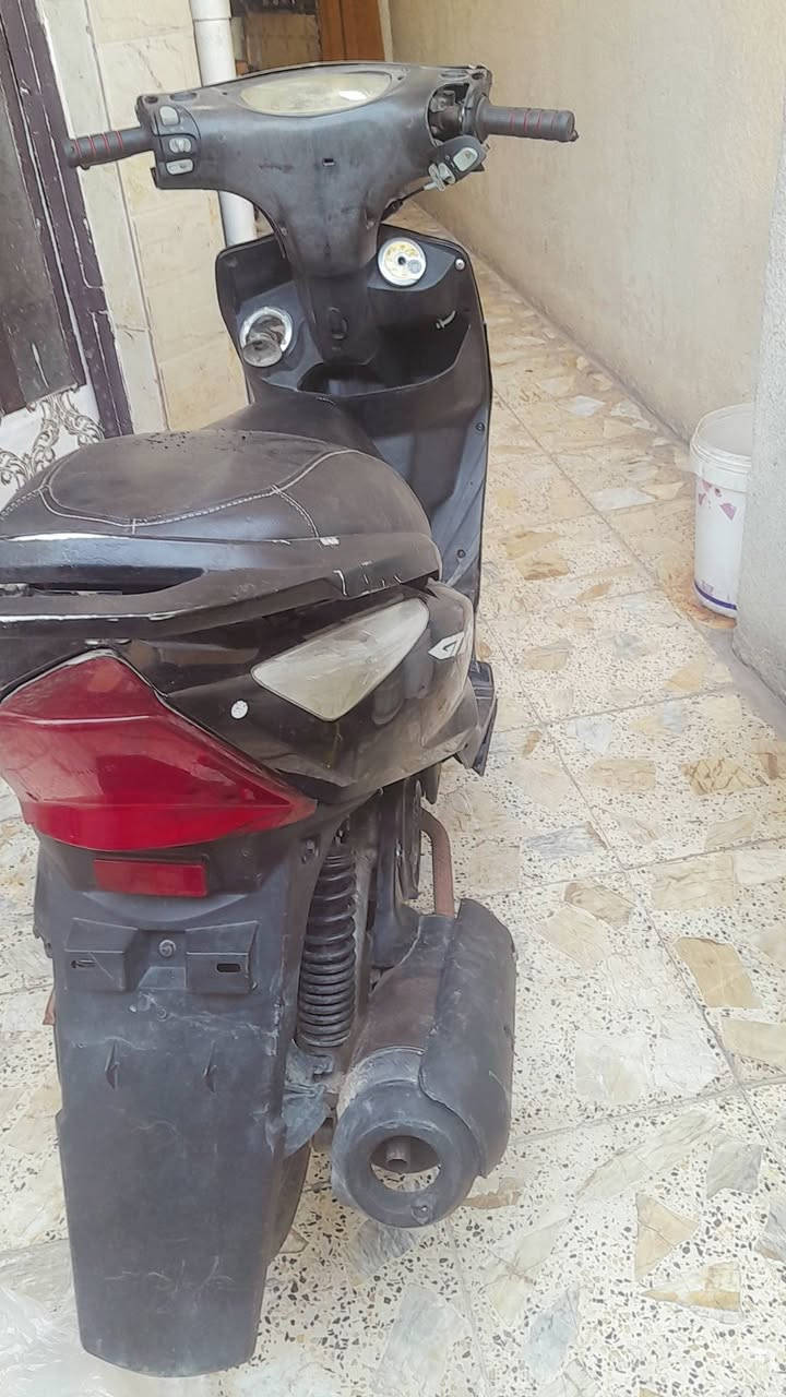 ثعلب دراجه حلوه بكاني بغداد دوره ***********
