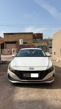 النترا • ٢٠٢١ • وارد امريكي
