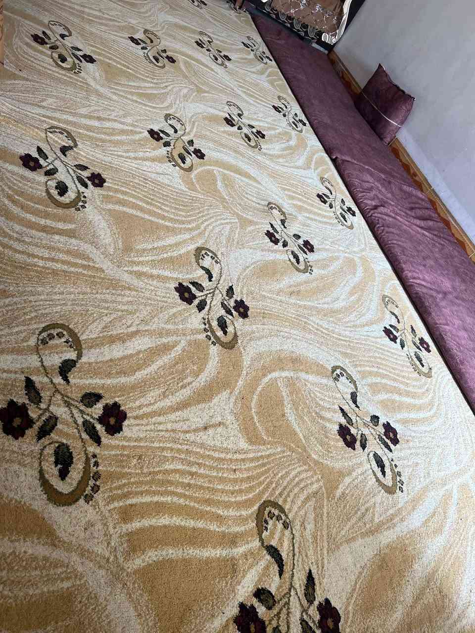 فرشه • ٥×٣ • نضيفه