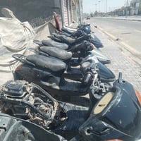 سبيسيات • يابانيات • شغالات