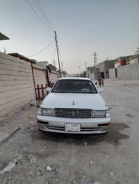الصبغ جمالي • دواخل نضيف • الزبير