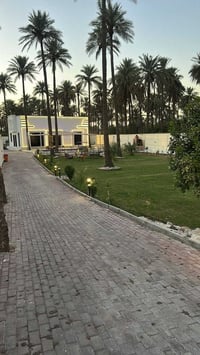 انسب مزرعه بكل البوعيثه للبيع السعر 750- مليون مباشر من صاحبها سند 25 ...