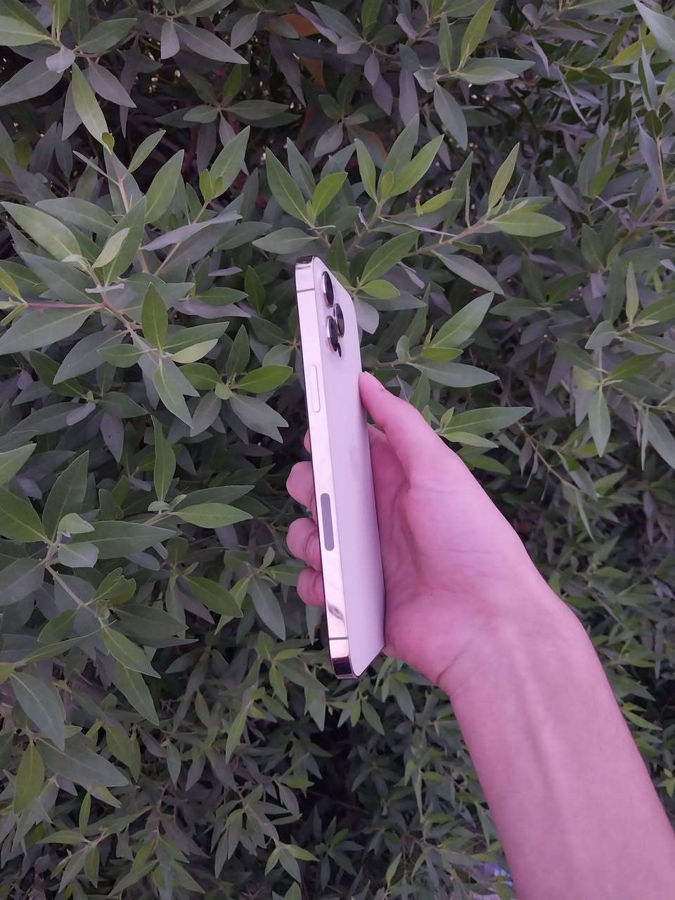 ١٢برو ماكس
بلادي شخط مابي 
ذاكره 512
وتر 
بطاريه 78
سعر 420 بي مجال 

***********

نص مكتوب في الصور:
- ٥:٤٢ حوّل < الاسم iPhone إصدار iOS 26.6.2 اسم الطراز iPhone 12 Pro Max رقم الطراز MGA33LL/A الرقم التسلسلي G6TF60G80D49 سجل تاريخ القطع والخدمة الأغاني الفيديوهات ٢ الصور ٥١٢ غ.ب. السعة ٤٩٣,٩٦ غ.ب. متوفرة 5C:70:17:1A:80:91 عنوان Wi-Fi 5C:70:17:23:45:4E Bluetooth