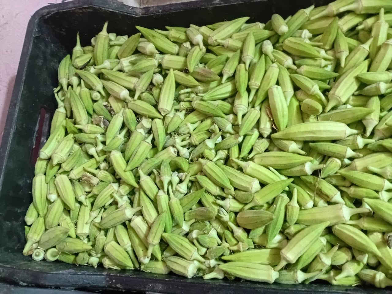 يالله بانيه عراقيه مال سامراء سمسم مال تجميد سعر 1250 يوجد مفرد وكميات تين اصفر عراقي مال سامراء حلو وعلا ضوك سعر 1250 يوجد مفرد وكميات العنوان الامين ثانيه شارع الأرامل مجاور صيدليه اليقين مقابيل أسواق ساقي رقم الهاتف *********** لا يوجد توصيل
