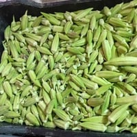 بانيه سامراء • تين اصفر سامراء • سمسم تجميد