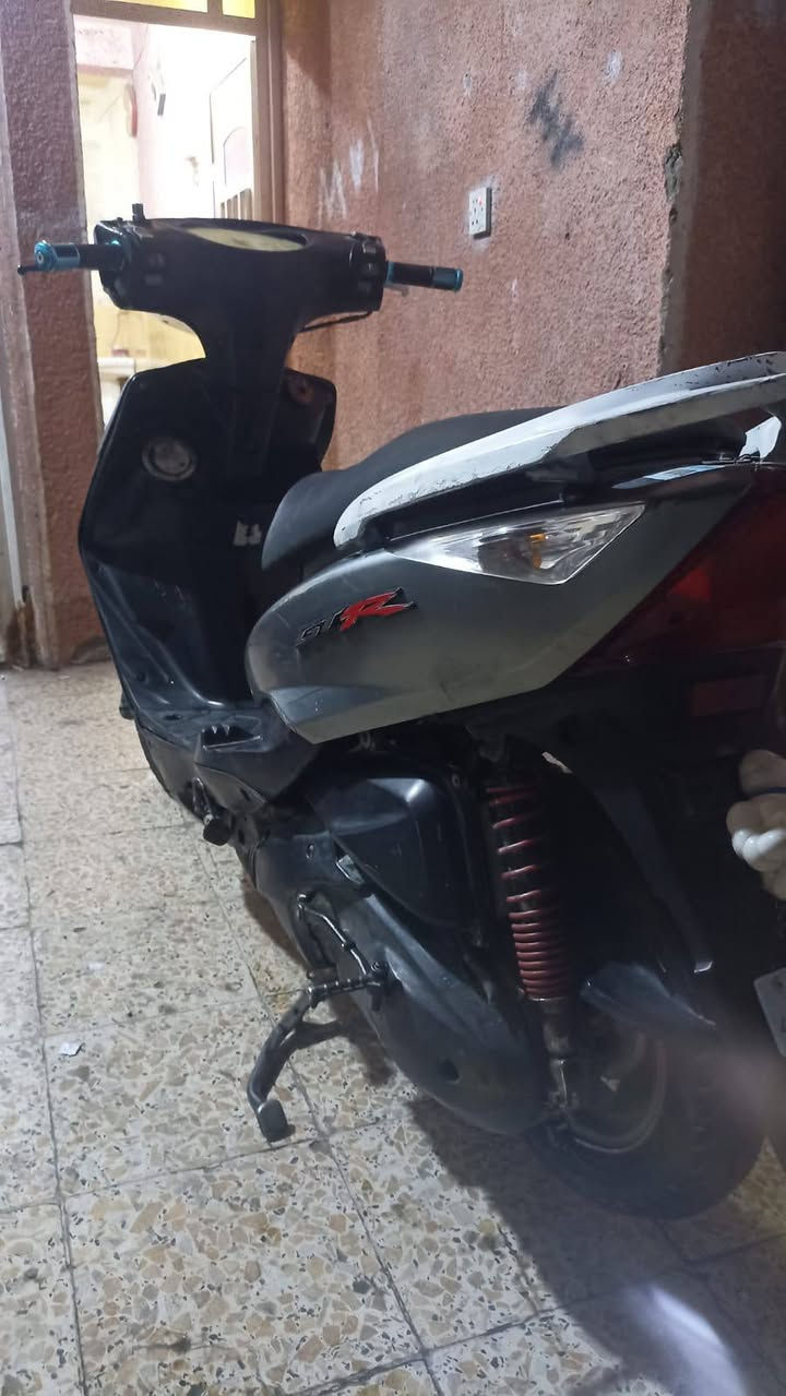 ثعلب جيتي • معدل • كهرباء
