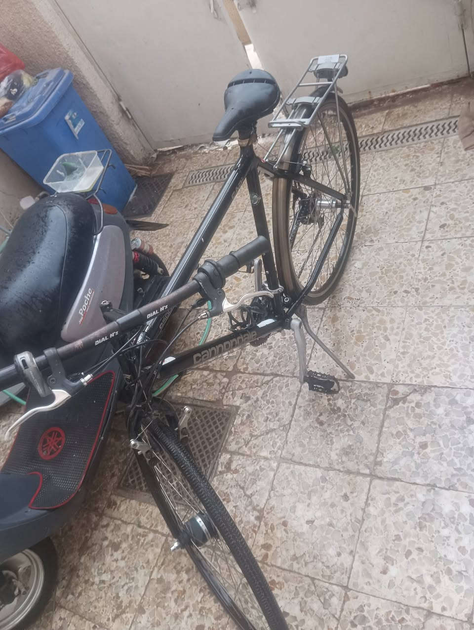 كربلاء • بناتي • نظيفة