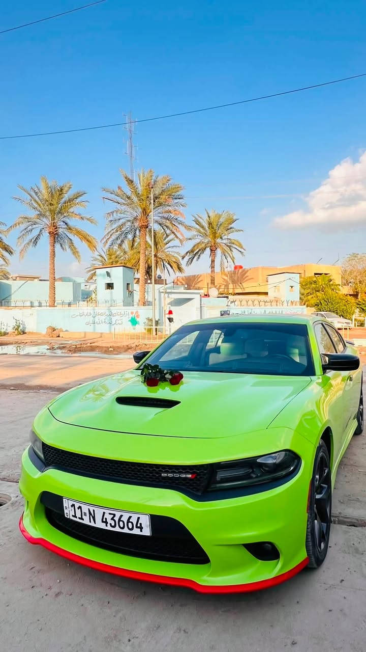 السلام عليكم
من رخصه الادمن طبعاً 

دوج تشارجر (2019) GT  خليجي وكاله هارلم كلين تايتل  

ممشى السياره 72Km حقيقي

محرك v6
3600

لون مميز اخضر 🍏 

(المواصفات) سوبر تراك باك

تحديد مسار + الملاحه
 
كار بلي عربي  شاشه كبيره 

فتحه سقف 

مثبت سرعه  
 
ويل حجم 20 العنكبوتي الاصلي 
 
 السياره مكفوله كفاله عامه
 
السياره حداديه جديده نفضتها نفض 
 
مواصفات GT معروفه بعد ما اشرحلكم 

السعر  295 وبي مجال 

مكاني بابل 
 
(الارقام)
 
واتس ***********
 
المحمول ***********
