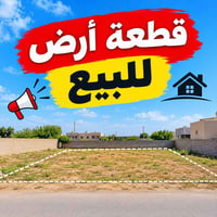 حي عدن • ٢٥٠م ركن • شرط عشائر