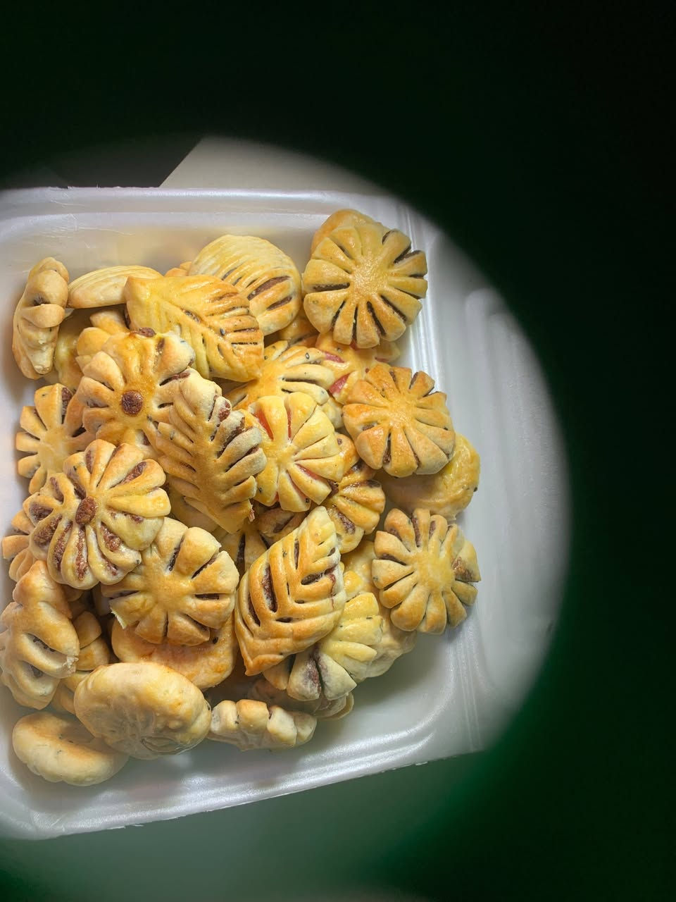 عرض اليوم