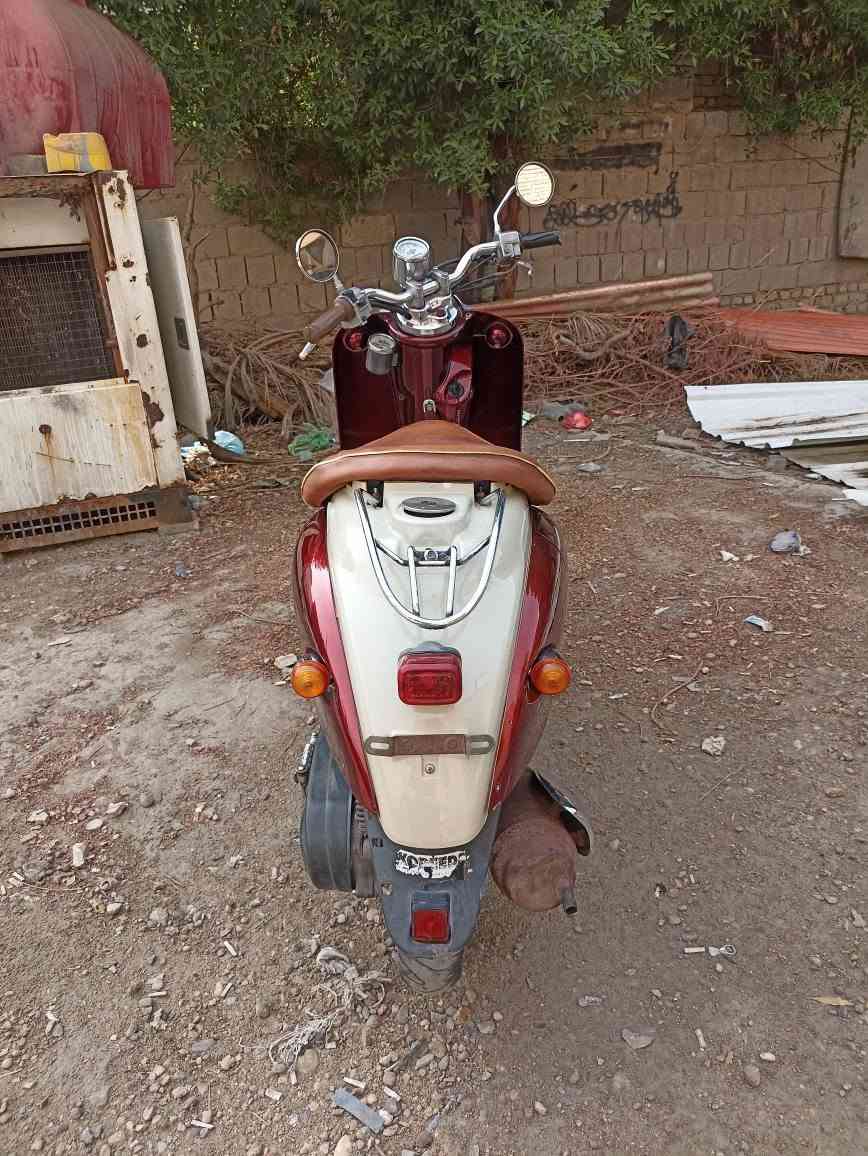 كلاسك • فحل • سلف وهندل
