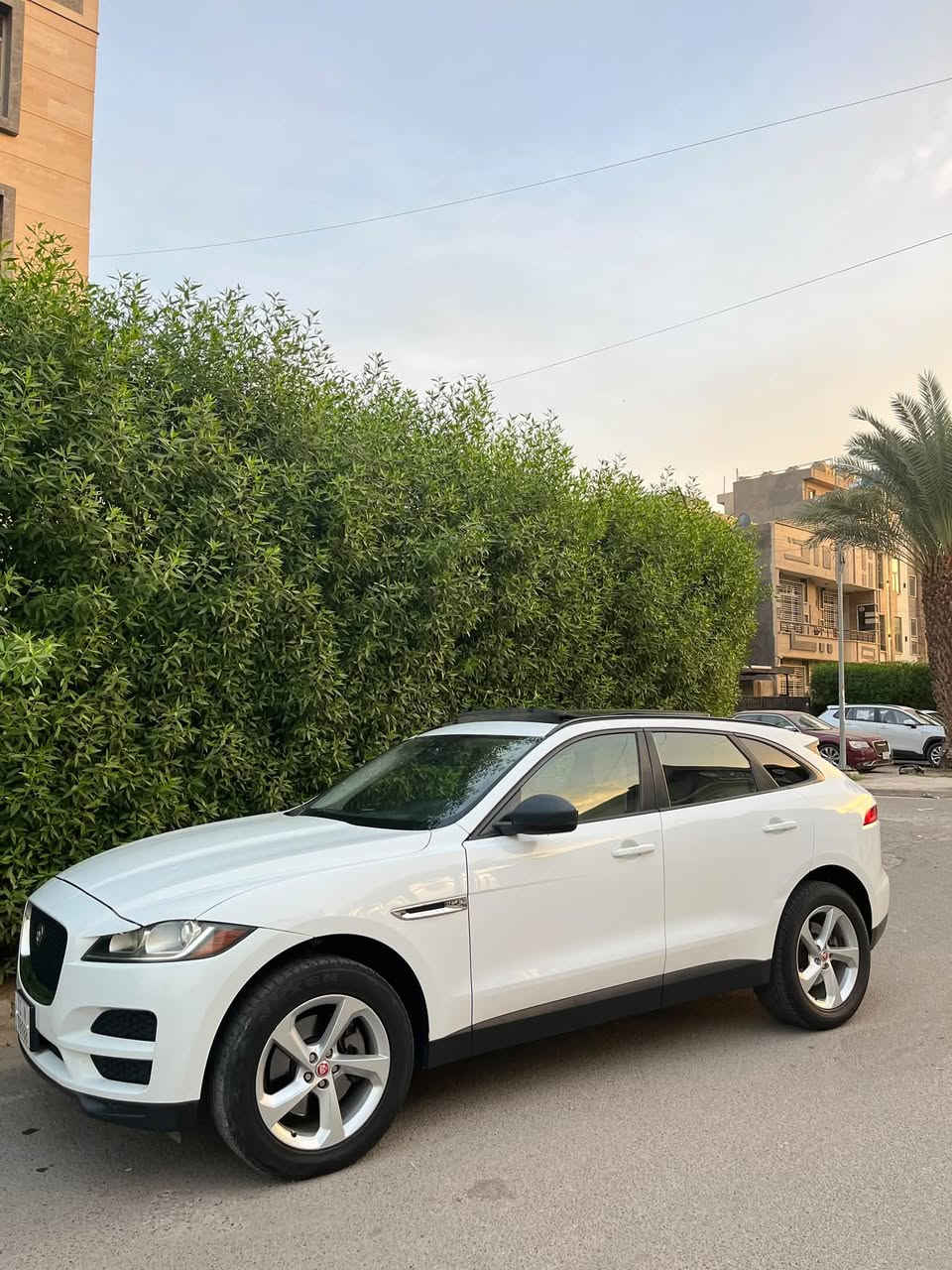جاكوار اف بيس • ٢٠١٧ • ٦ سلندر