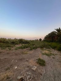 طريق أبو الجاسم • ٦ دونم • مشروع صناعي