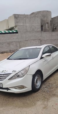 ٢٠١٣ • وارد أمريكي • ابي الخصيب