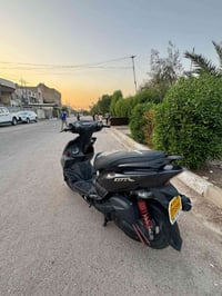 جيتي ار • فيلي • أوراق كاملة